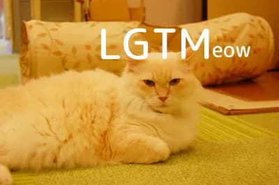 LGTM image