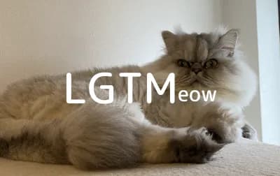 LGTM image