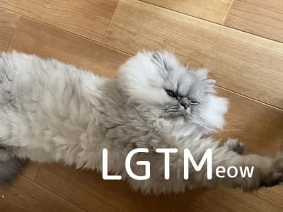lgtm-cat-image