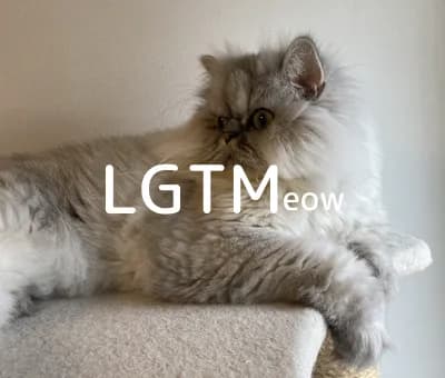 LGTM image