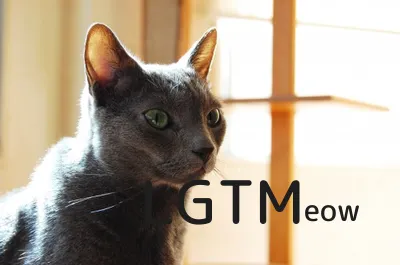lgtm-cat-image