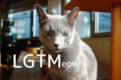 LGTM image
