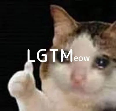 lgtm-cat-image