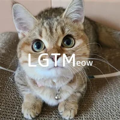 LGTM image