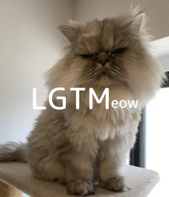 LGTM image