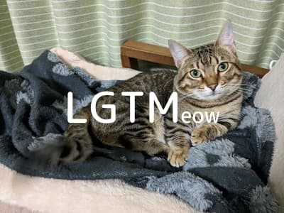 LGTM image