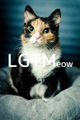 LGTM image