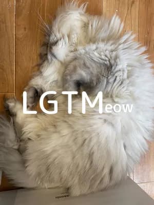 LGTM image