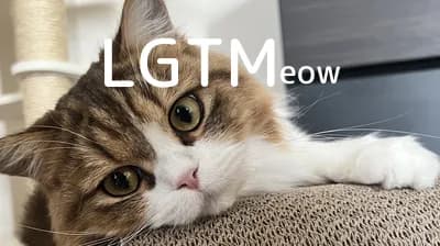 LGTM image