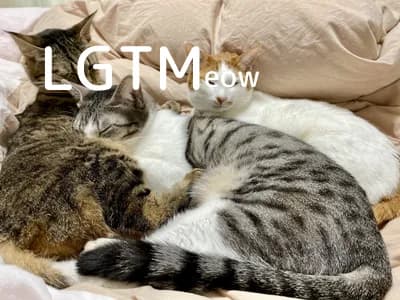 LGTM image