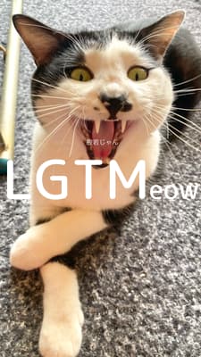 lgtm-cat-image