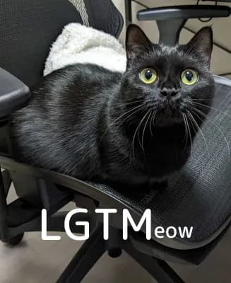 LGTM image