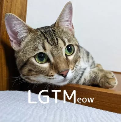 LGTM image