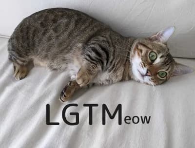 LGTM image