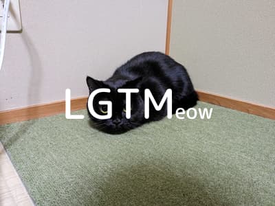 lgtm-cat-image