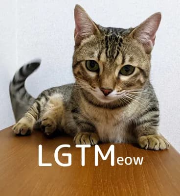 LGTM image