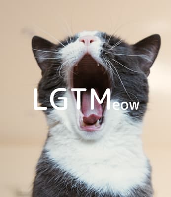 lgtm-cat-image