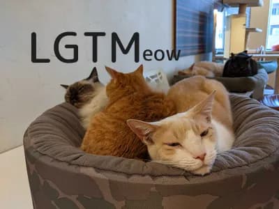 LGTM image