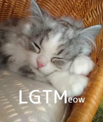 LGTM image
