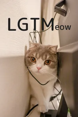 LGTM image