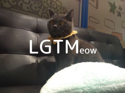 LGTM image