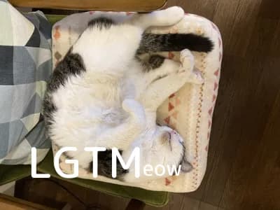 LGTM image