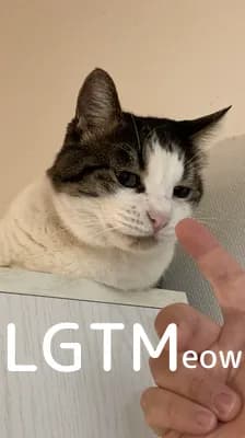 LGTM image