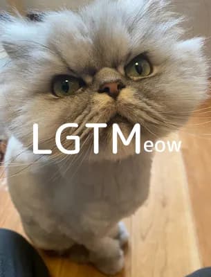 LGTM image
