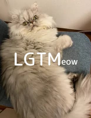 LGTM image
