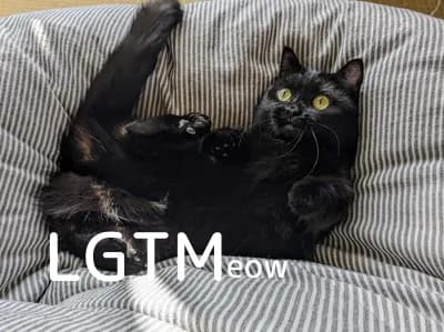 LGTM image