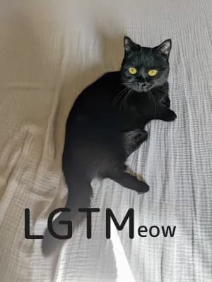 LGTM image