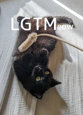 LGTM image