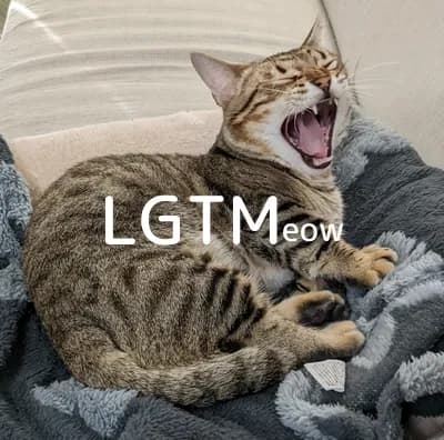 LGTM image