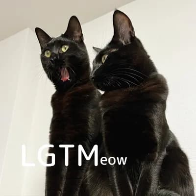 LGTM image