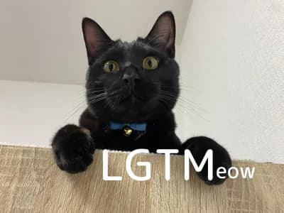 LGTM image