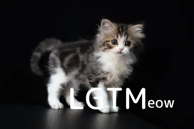 LGTM image