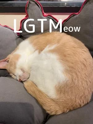 LGTM image