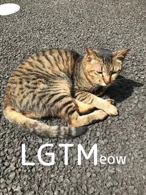 LGTM image