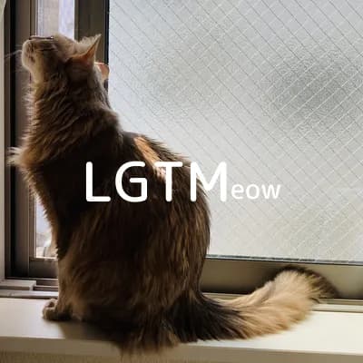 LGTM image