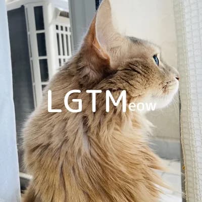 lgtm-cat-image