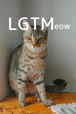 LGTM image
