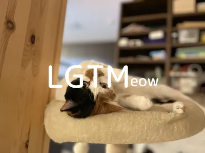LGTM image