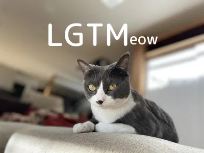 LGTM image