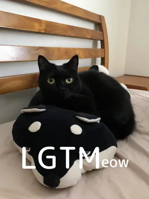 LGTM image