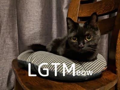 LGTM image