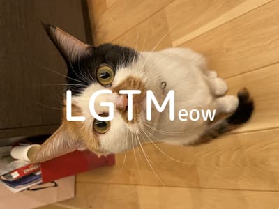 lgtm-cat-image