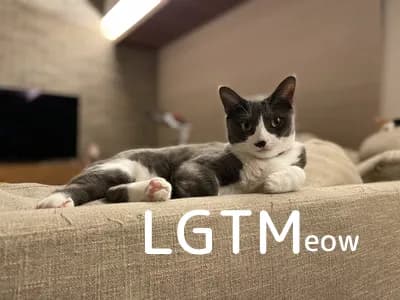 LGTM image