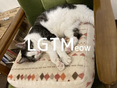 lgtm-cat-image