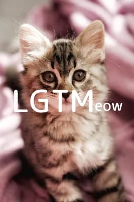 LGTM image