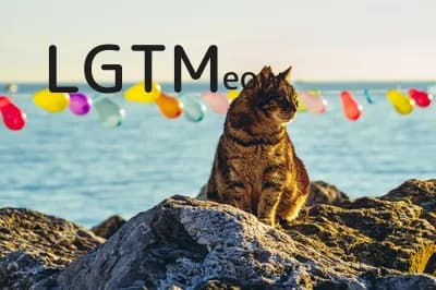 LGTM image